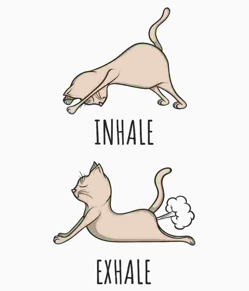 Free Download Inhale...Exhale..., Funny Yoga Cat Funny T-shirt Design