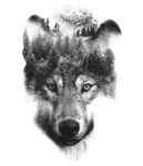 Free Download Wolf transitioning into mountain with forest t-shirt design