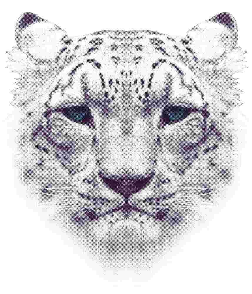 Free Download Snow Leopard Graphic Design