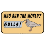 Free Download Who Run The World? Gulls! bumper sticker design