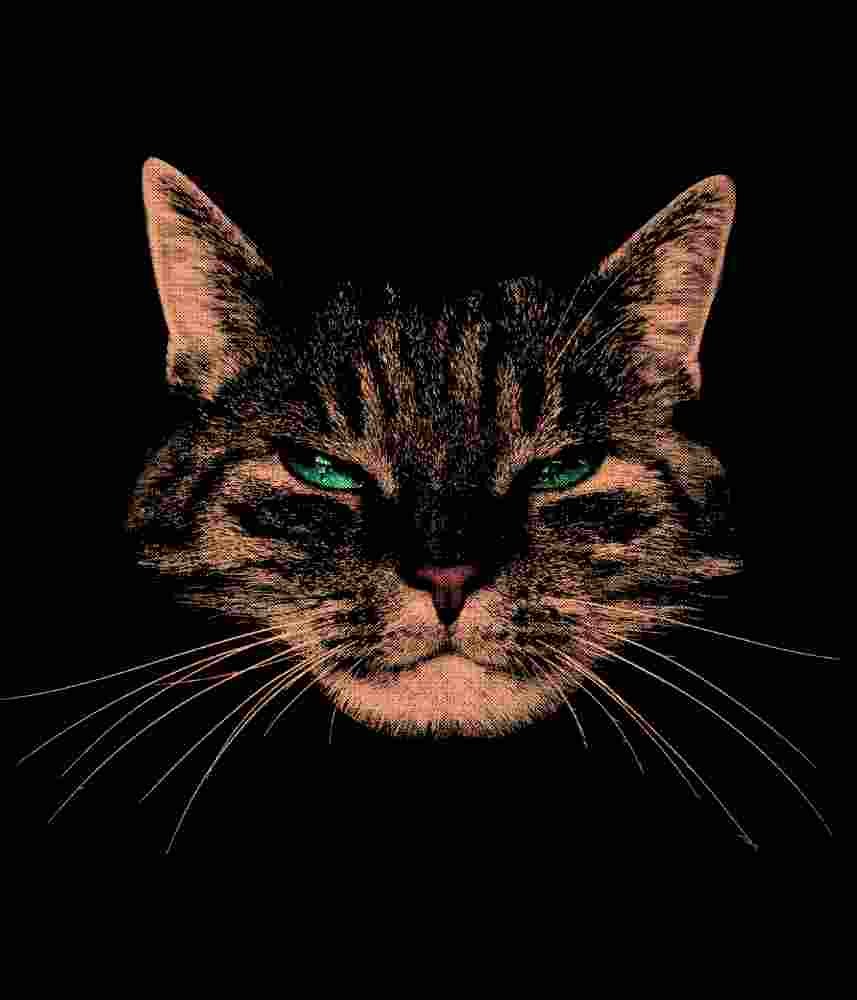 Free Download Purrr Evil Cat tshirt design, cat lover, feline