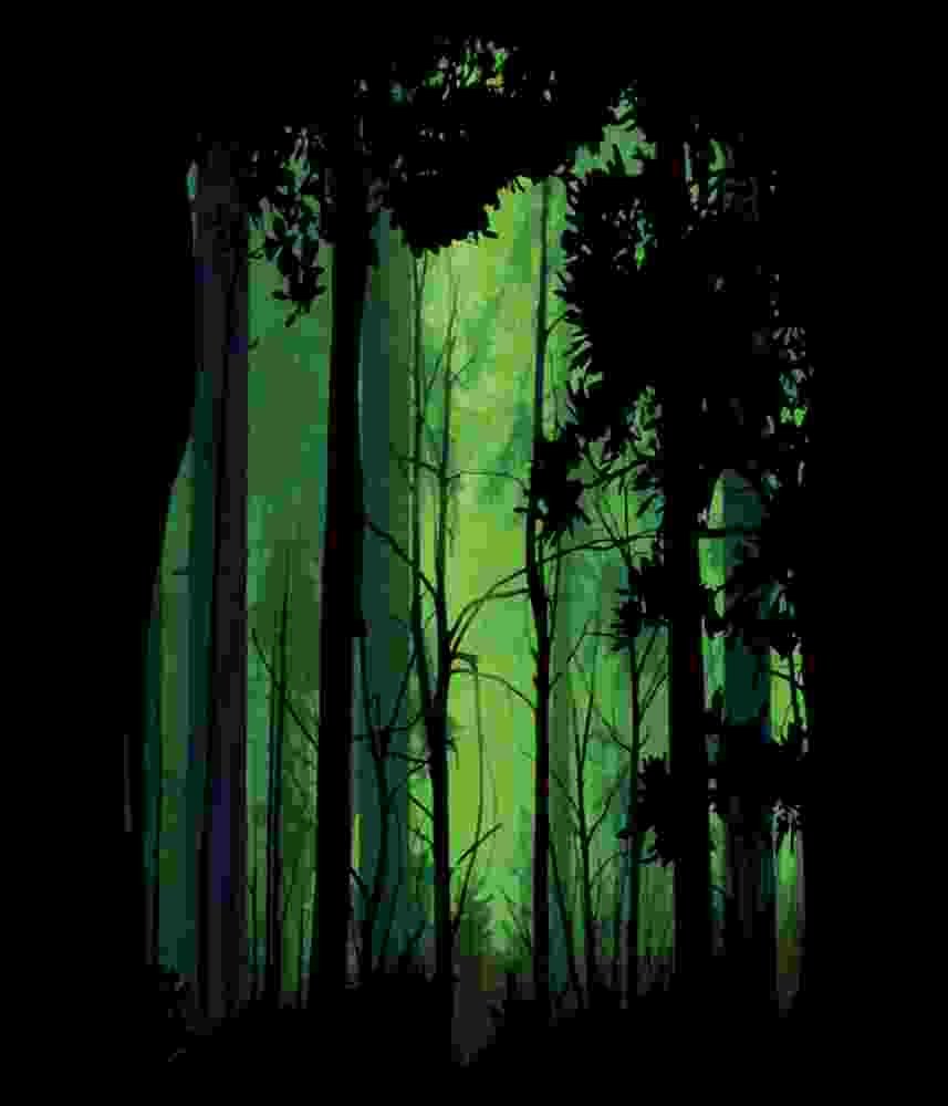 Free Download Into The Wild Green Mysterious Forest