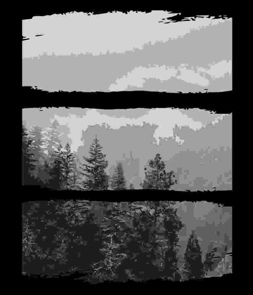 Free Download Into The Wild Black and White Forrest View