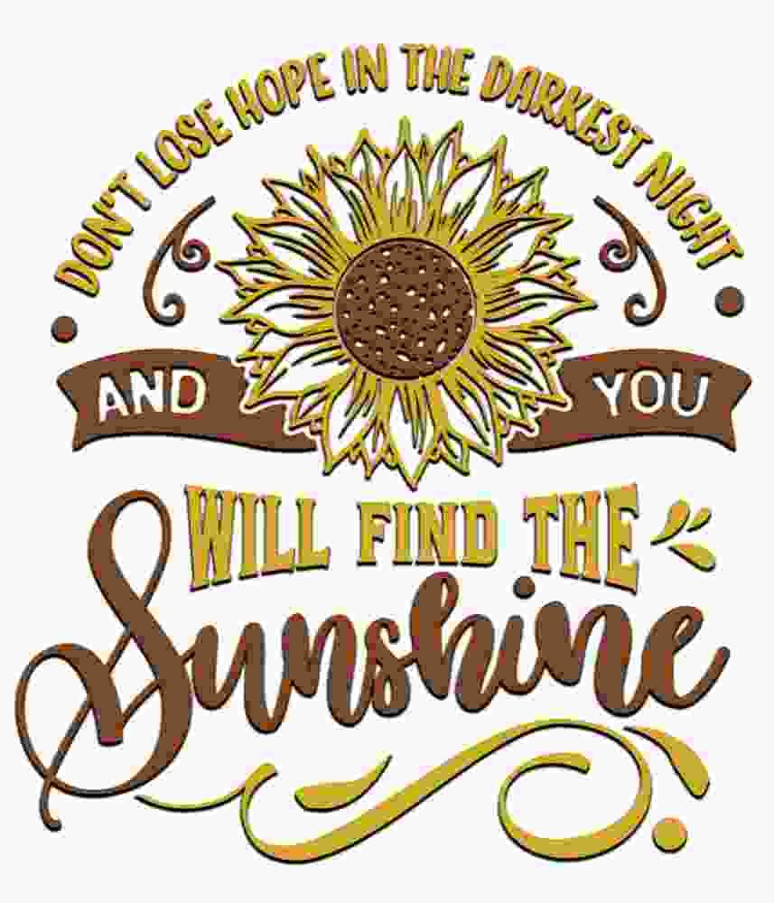 Free Download Find The Sunshine