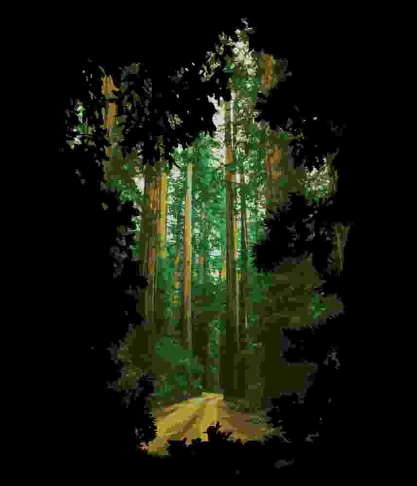Free Download Into The Wild Tall Green Forest T-shirt Design