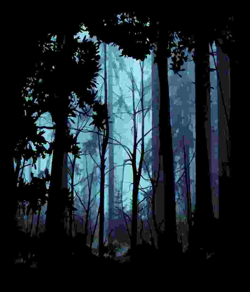 Free Download Into The Wild Forest During Moon Light