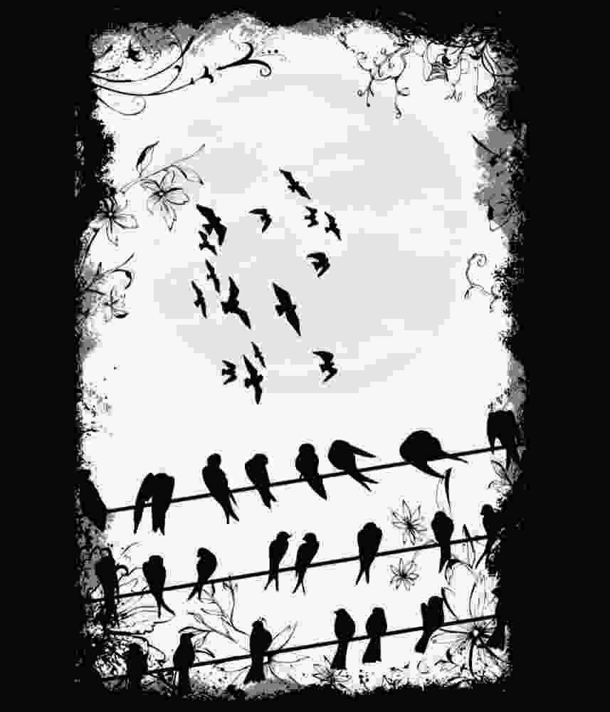 Free Download Dreaming Of Birds