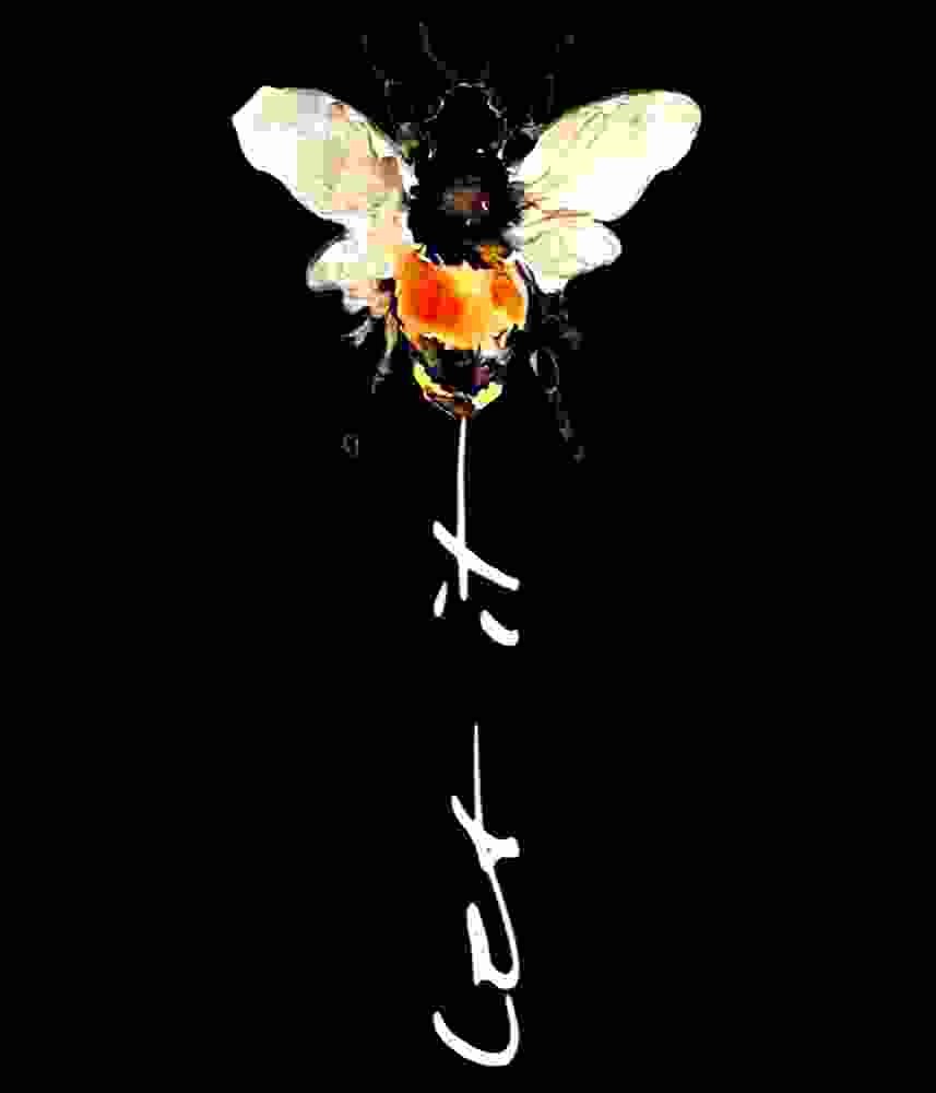 Free Download Let It Bee