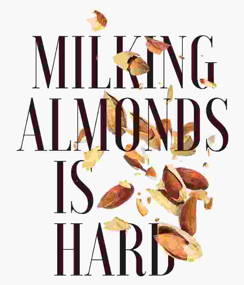 Free Download Milking Almonds Is Hard