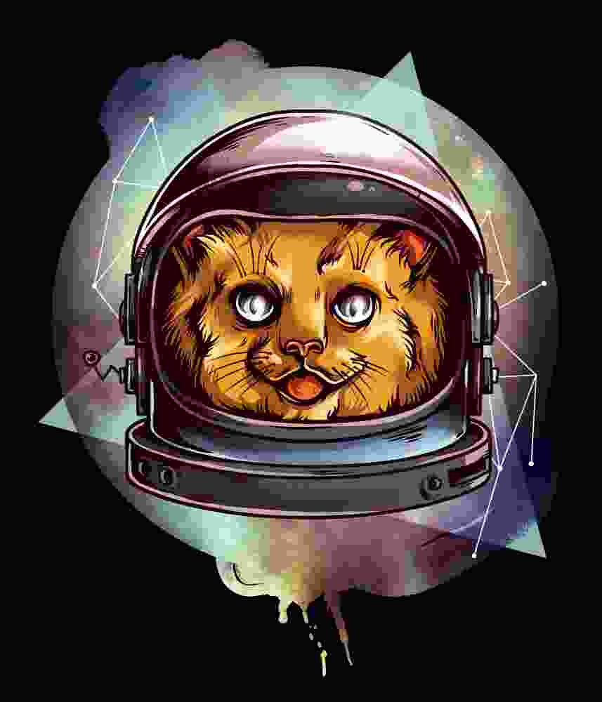 Free Download Cosmic Kitty Urban Art Graphic Design