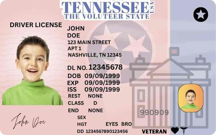 Free Download Tennessee Driver License Funny Fully Editable Digital Printable Template Funny License Replica