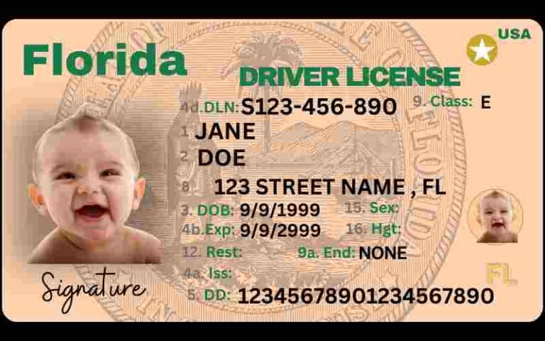 Free Download Florida Driver's License Fully Editable Digital Printable Template Funny License Replica