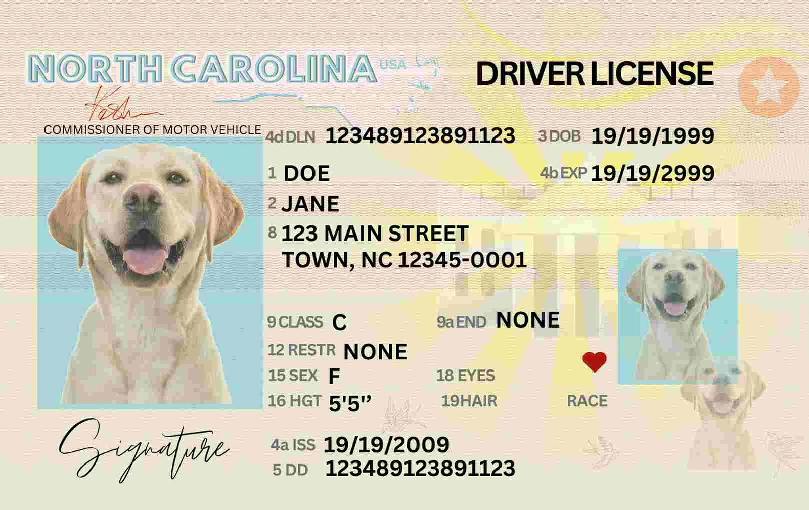 Free Download North Carolina Driver License Fully Editable Digital Printable Replica Template Funny License Replica