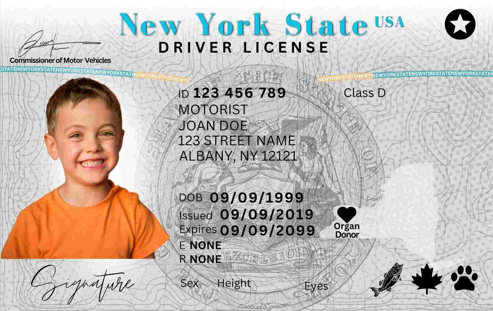 Free Download New York Driver License Fully Editable Digital Printable Funny Template NYC Driving License Editable Template Funny License Replica