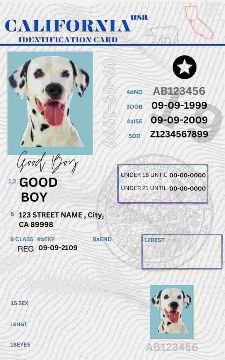 Free Download California ID Card California Name Tag Fully Editable Digital Printable Template