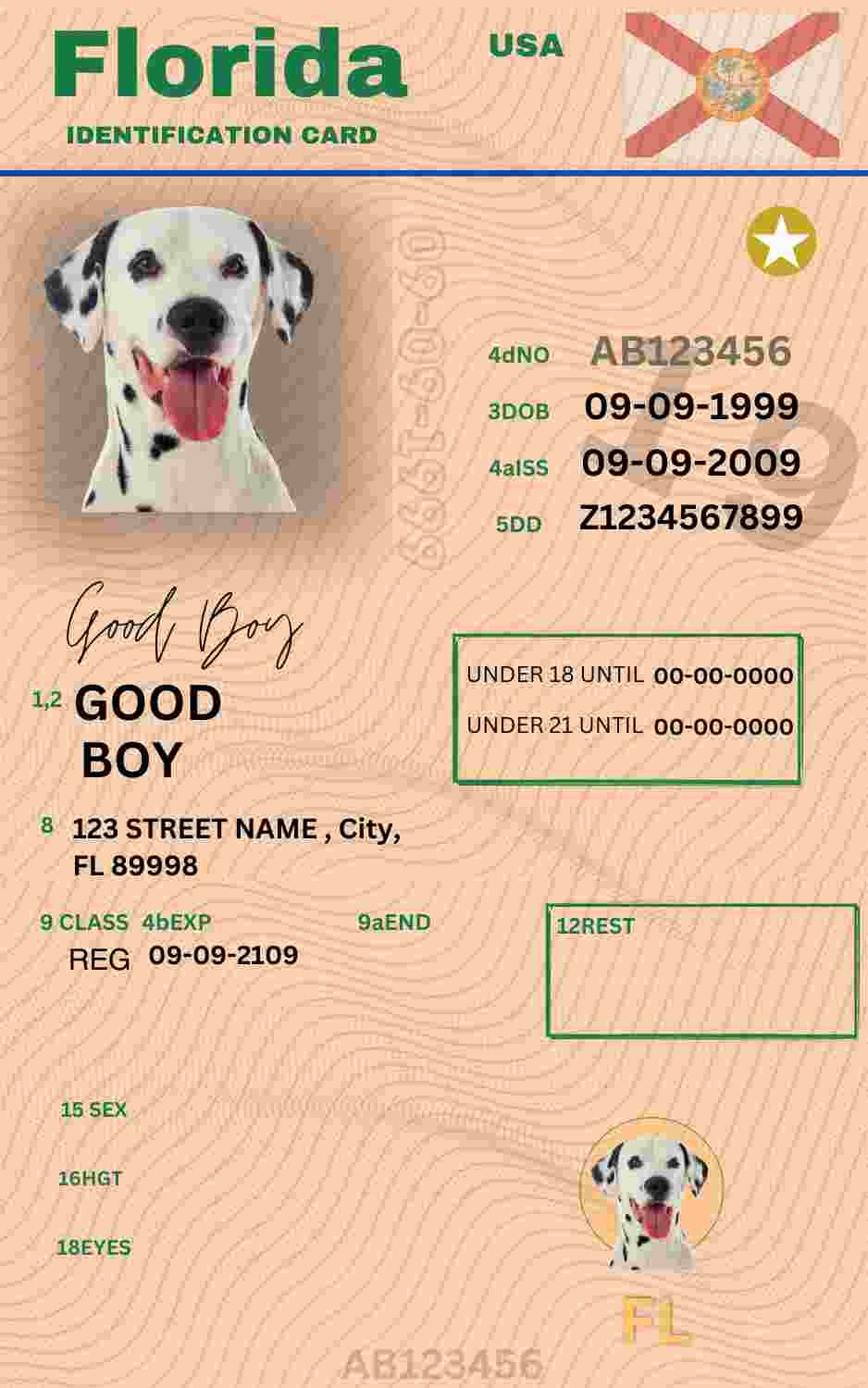 Free Download Florida ID Card Florida Name Tag Fully Editable Digital Printable Template