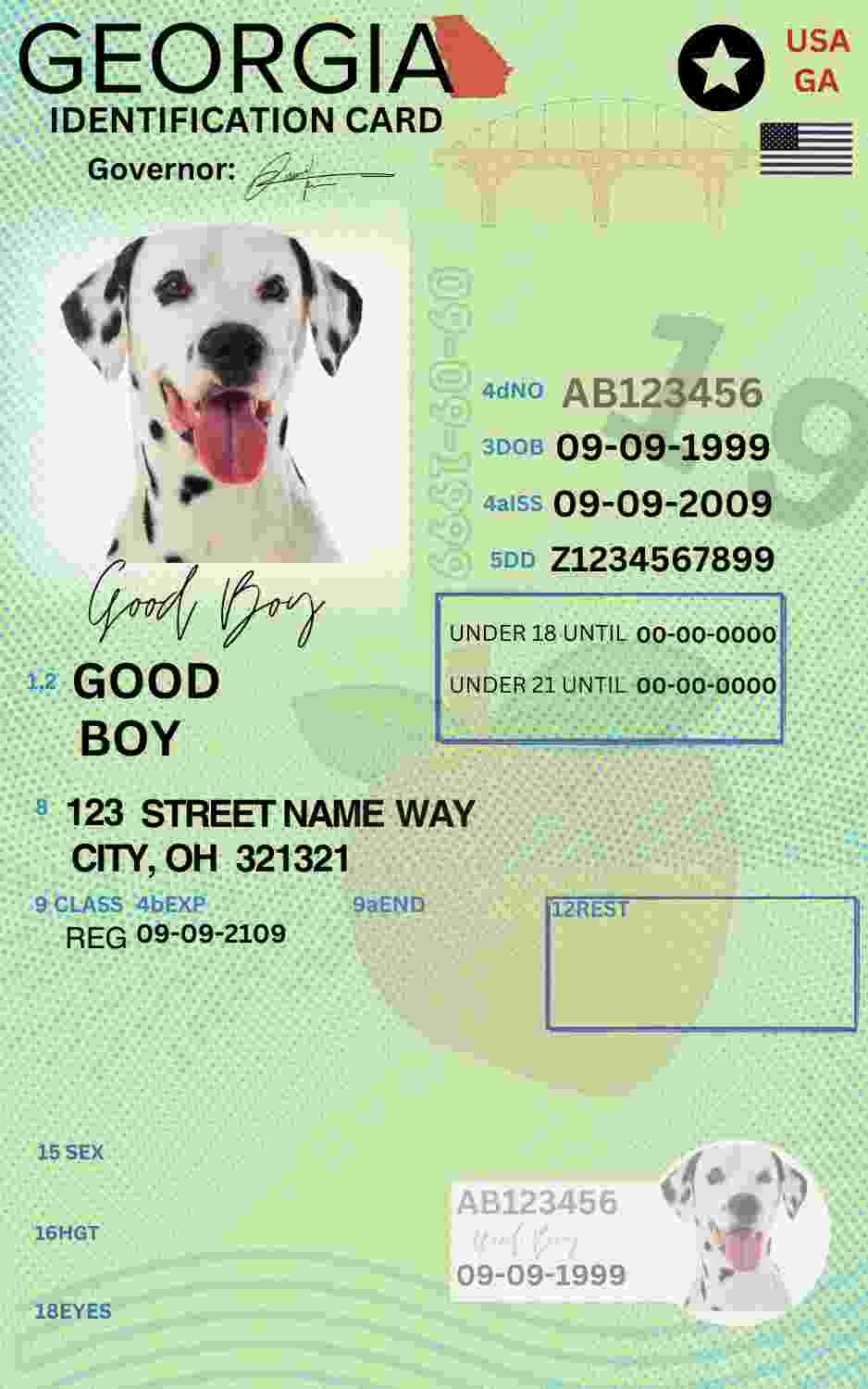 Free Download Georgia ID Card Georgia Name Tag Fully Editable Digital Printable Template