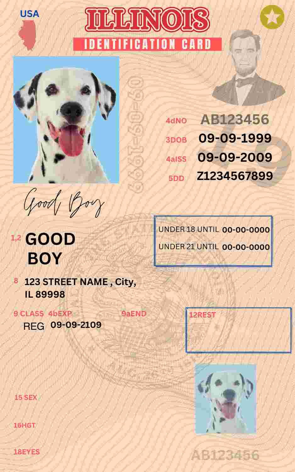 Free Download Illinois ID Card Illinois Name Tag Fully Editable Digital Printable Template