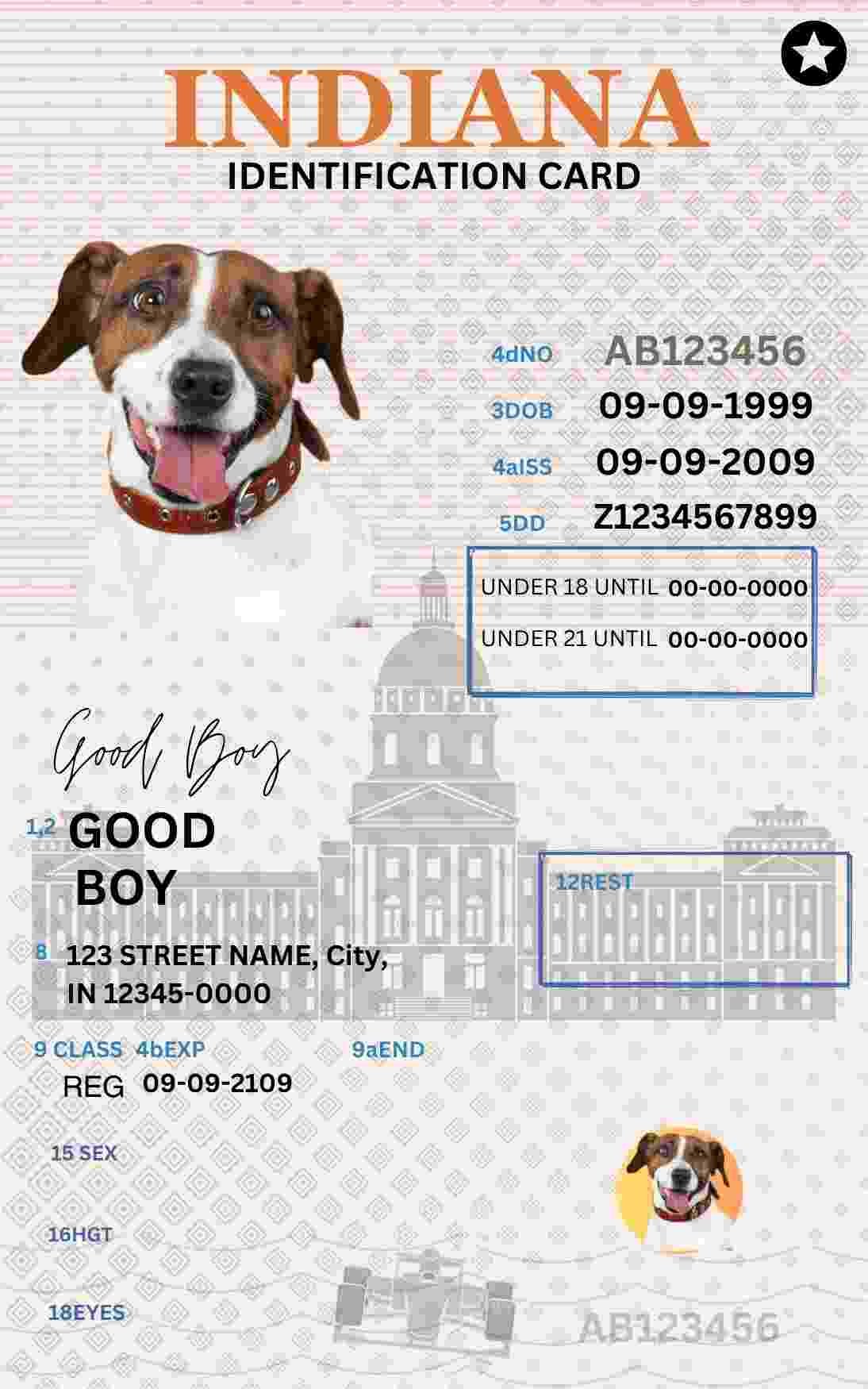 Free Download Indiana ID Card Indiana Name Tag Fully Editable Digital Printable Template