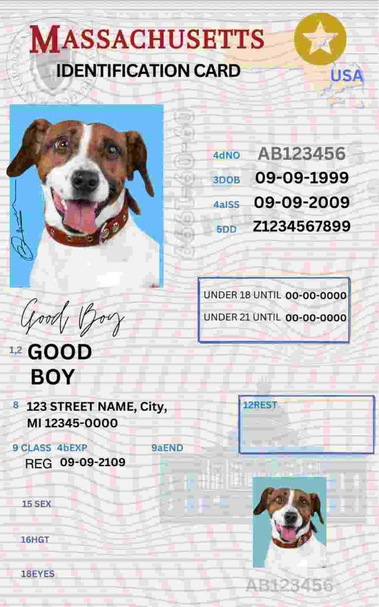 Free Download Massachusetts ID Card Massachusetts Name Tag Fully Editable Digital Printable Template