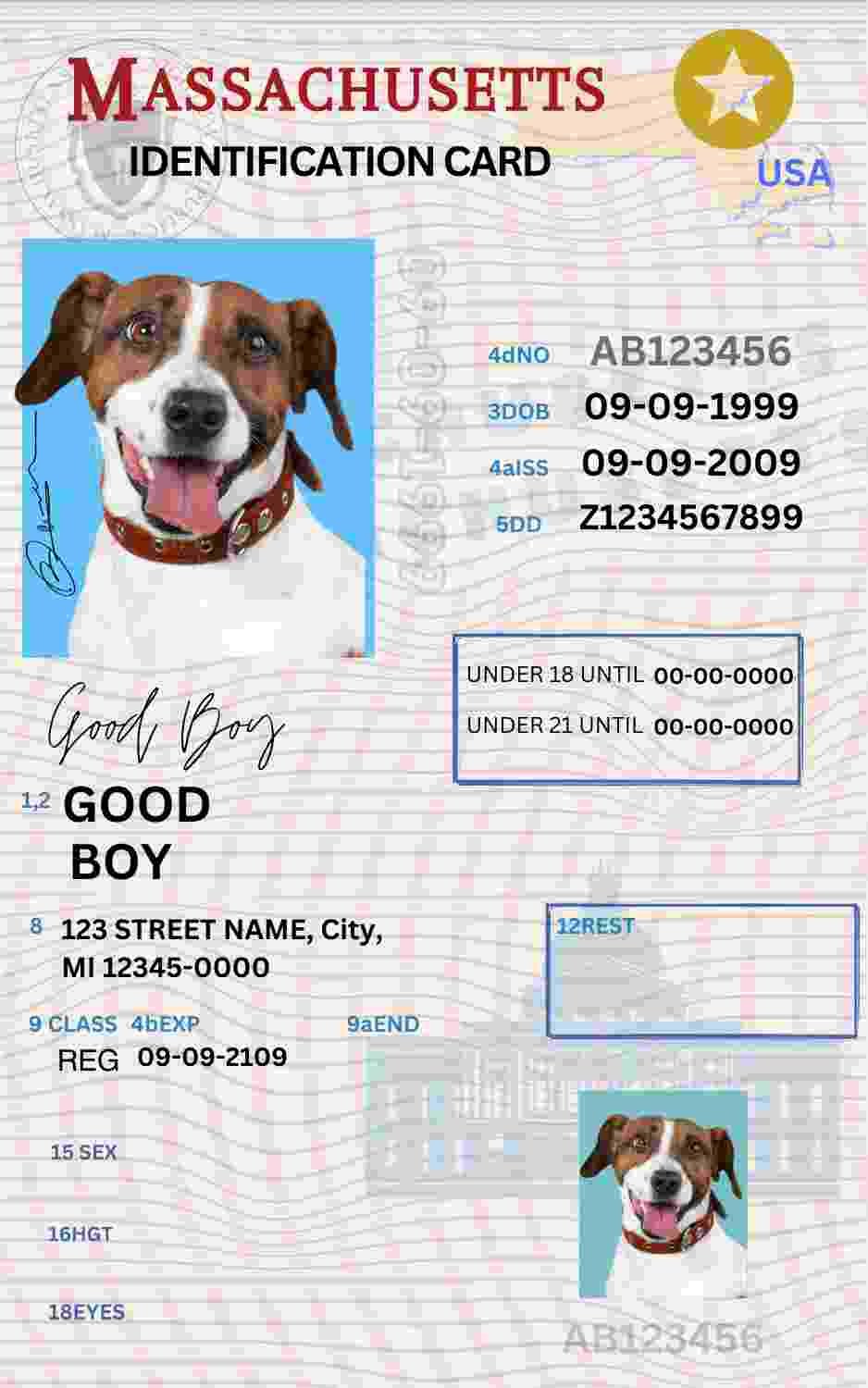 Free Download Massachusetts ID Card Massachusetts Name Tag Fully Editable Digital Printable Template