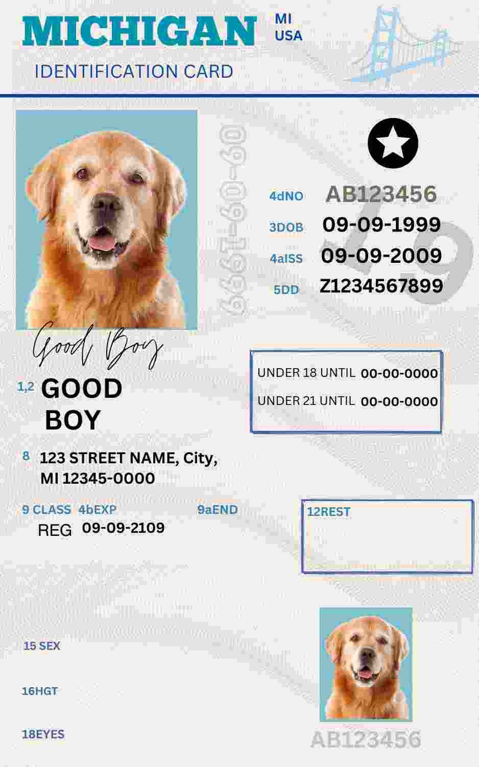 Free Download Michigan ID Card Michigan Name Tag Fully Editable Digital Printable Template