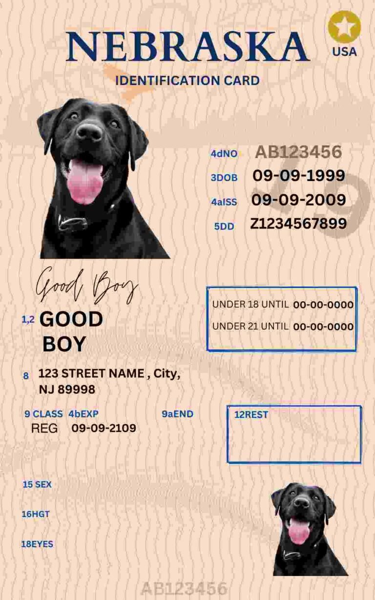 Free Download Nebraska ID Card Nebraska Name Tag Fully Editable Digital Printable Template