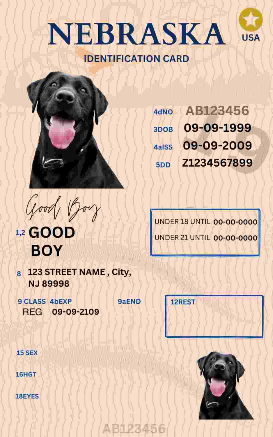 Free Download Nebraska ID Card Nebraska Name Tag Fully Editable Digital Printable Template