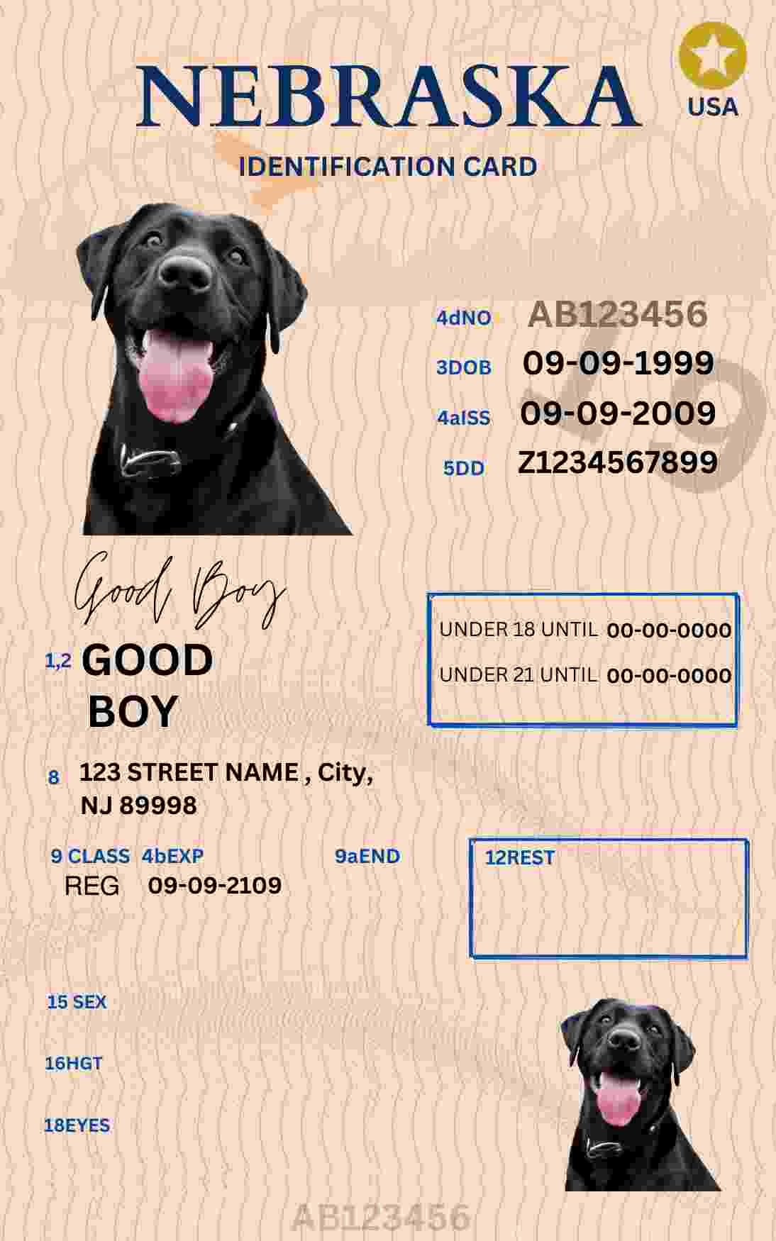 Free Download Nebraska ID Card Nebraska Name Tag Fully Editable Digital Printable Template
