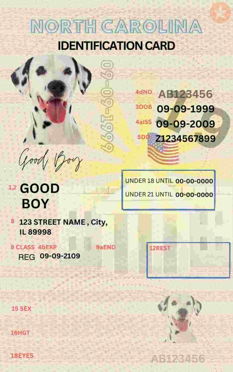 Free Download North Carolina ID Card North Carolina Name Tag Fully Editable Digital Printable Template