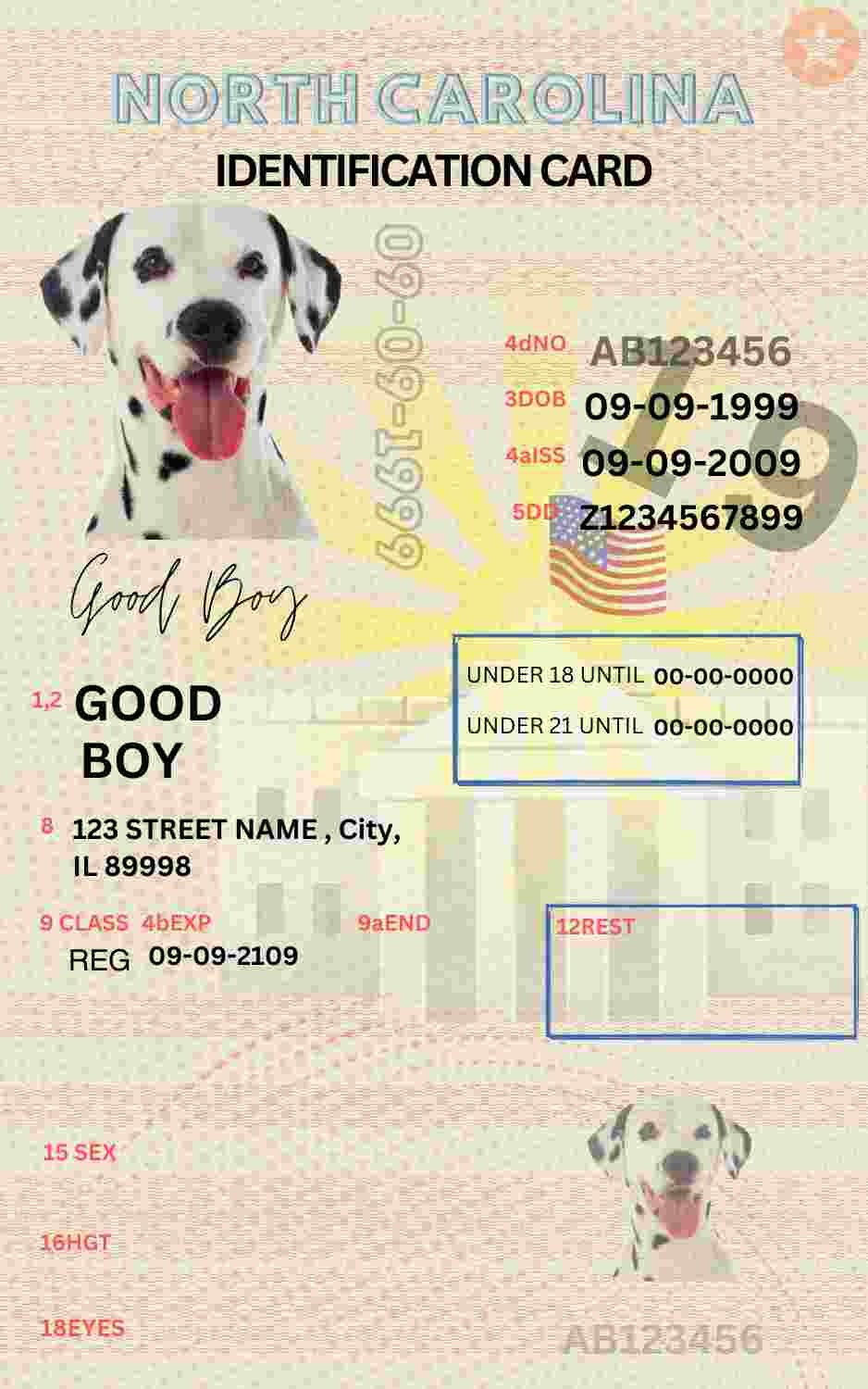 Free Download North Carolina ID Card North Carolina Name Tag Fully Editable Digital Printable Template