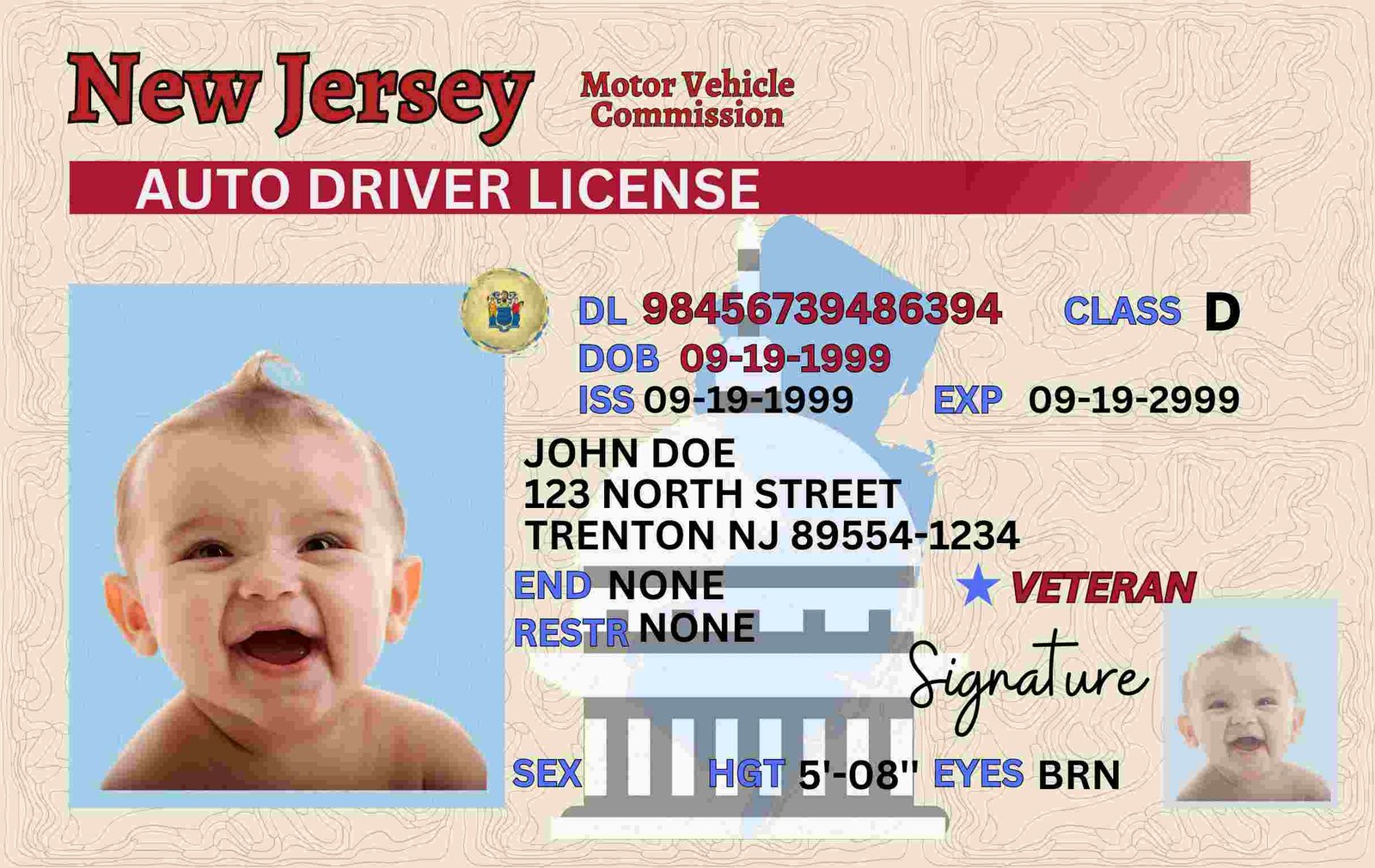 New Jersey Driver License Fully Editable Digital Printable Template Funny License Replica