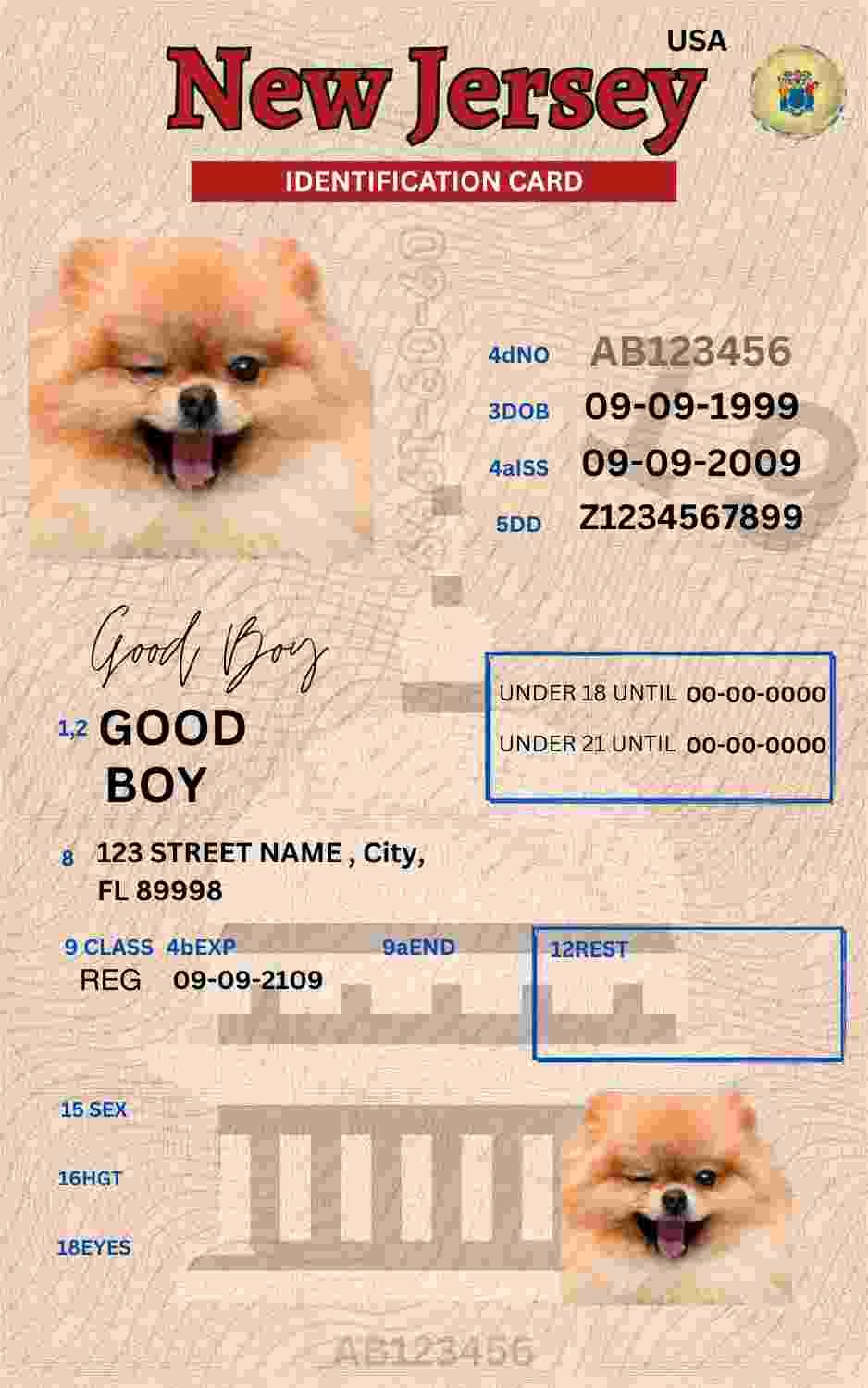 Free Download New Jersey ID Card New Jersey Name Tag Fully Editable Digital Printable Template