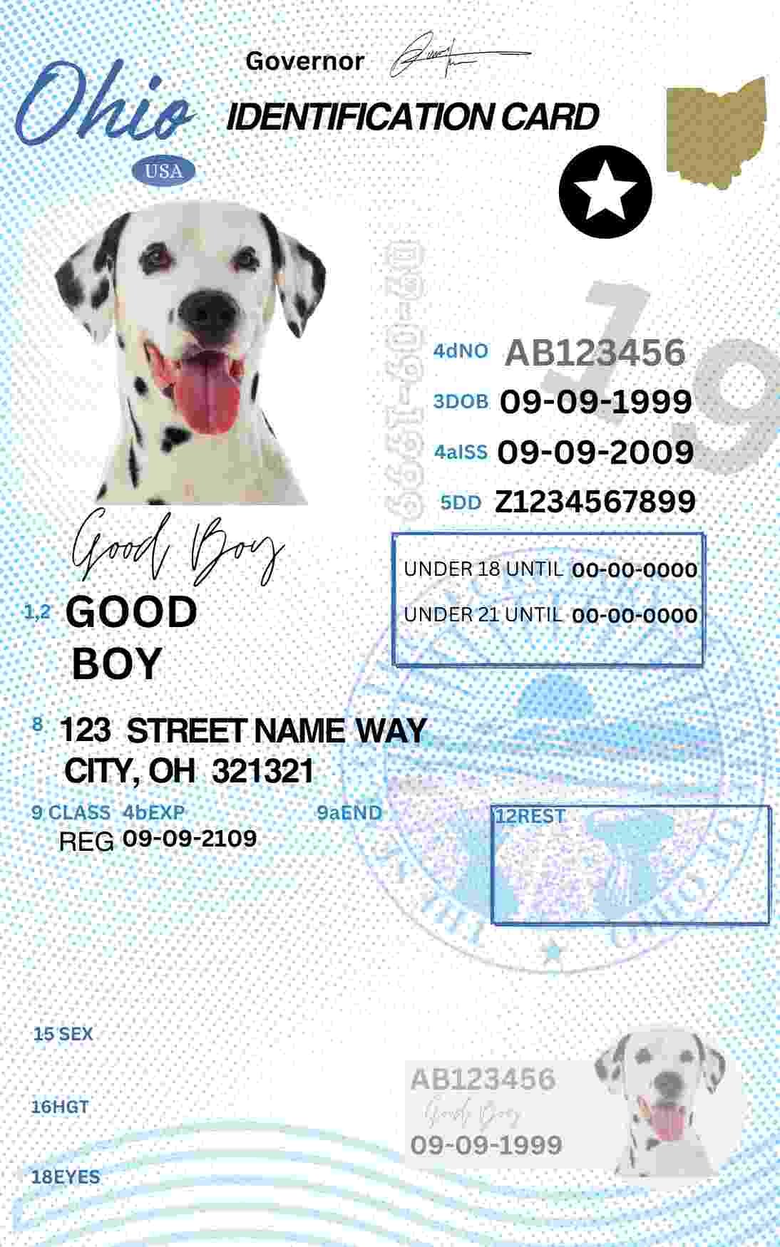 Free Download Ohio ID Card Ohio Name Tag Fully Editable Digital Printable Template