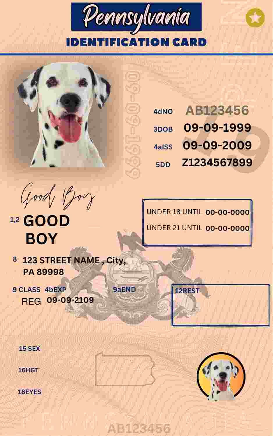 Free Download Pennsylvania ID Card Pennsylvania Name Tag Fully Editable Digital Printable Template