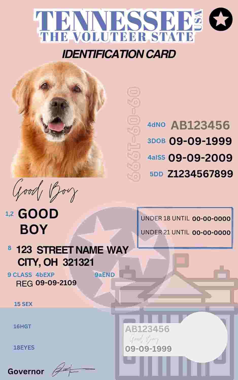 Free Download Tennessee ID Card Tennessee Name Tag Fully Editable Digital Printable Template