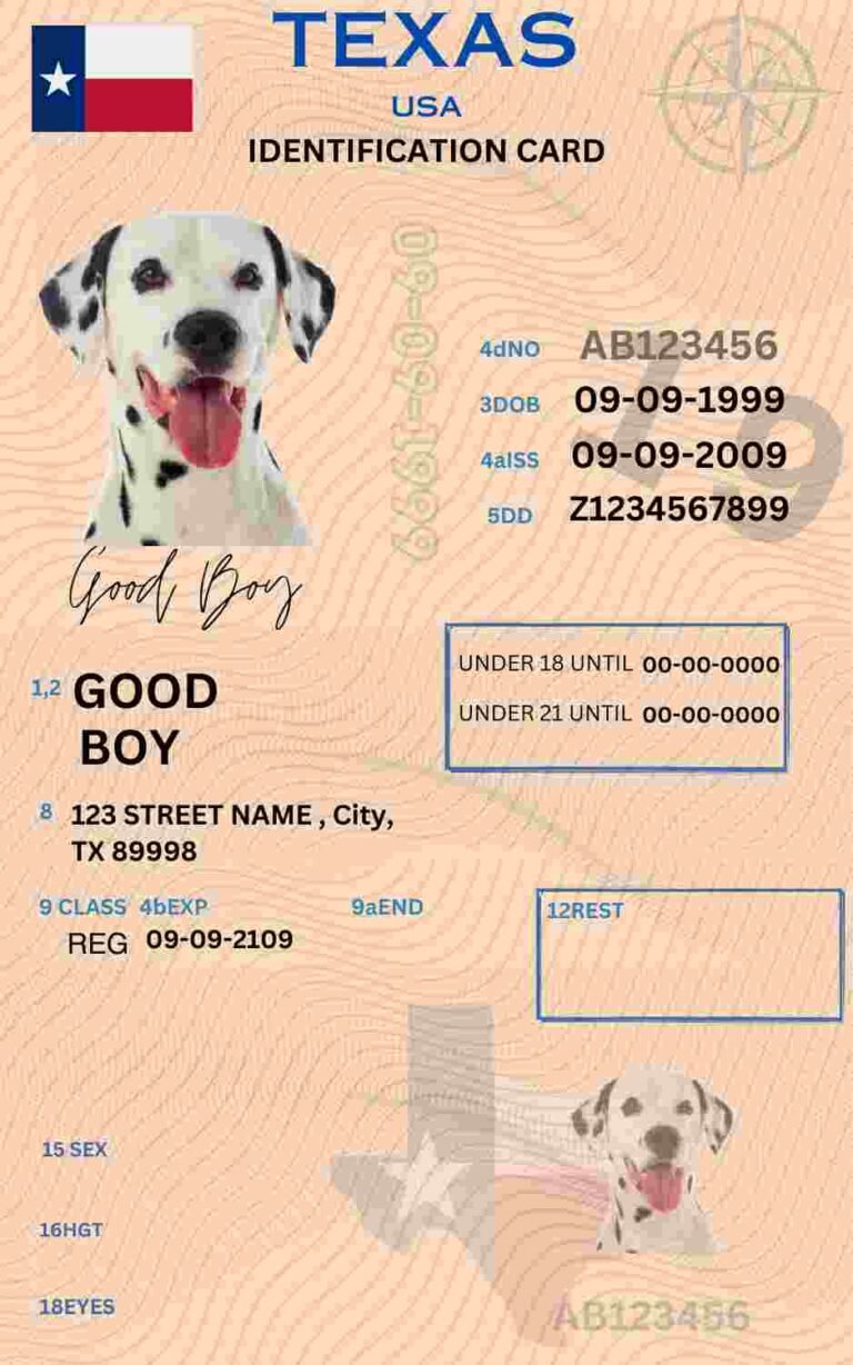 Free Download Texas ID Card Texas Name Tag Fully Editable Digital Printable Template