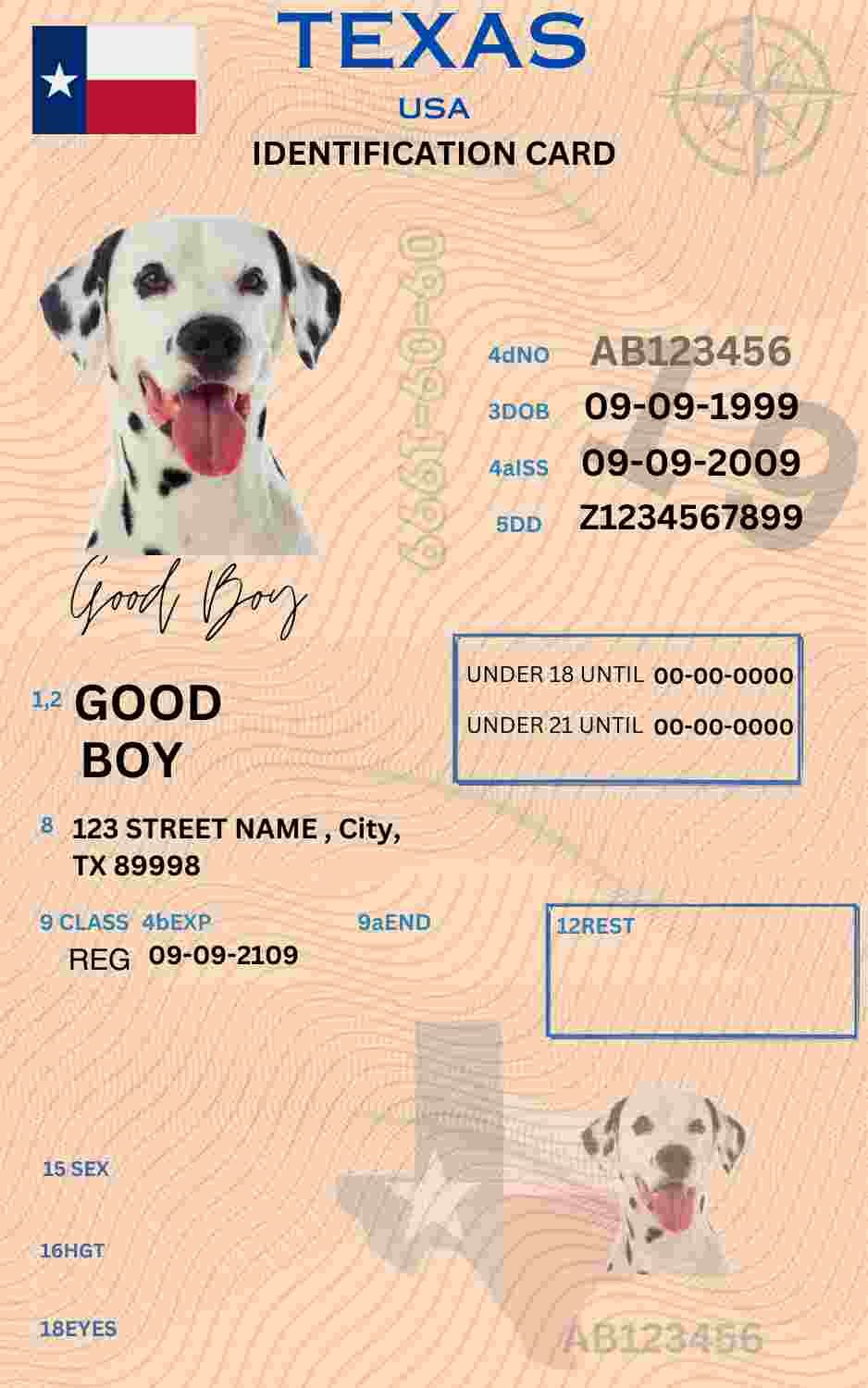 Free Download Texas ID Card Texas Name Tag Fully Editable Digital Printable Template
