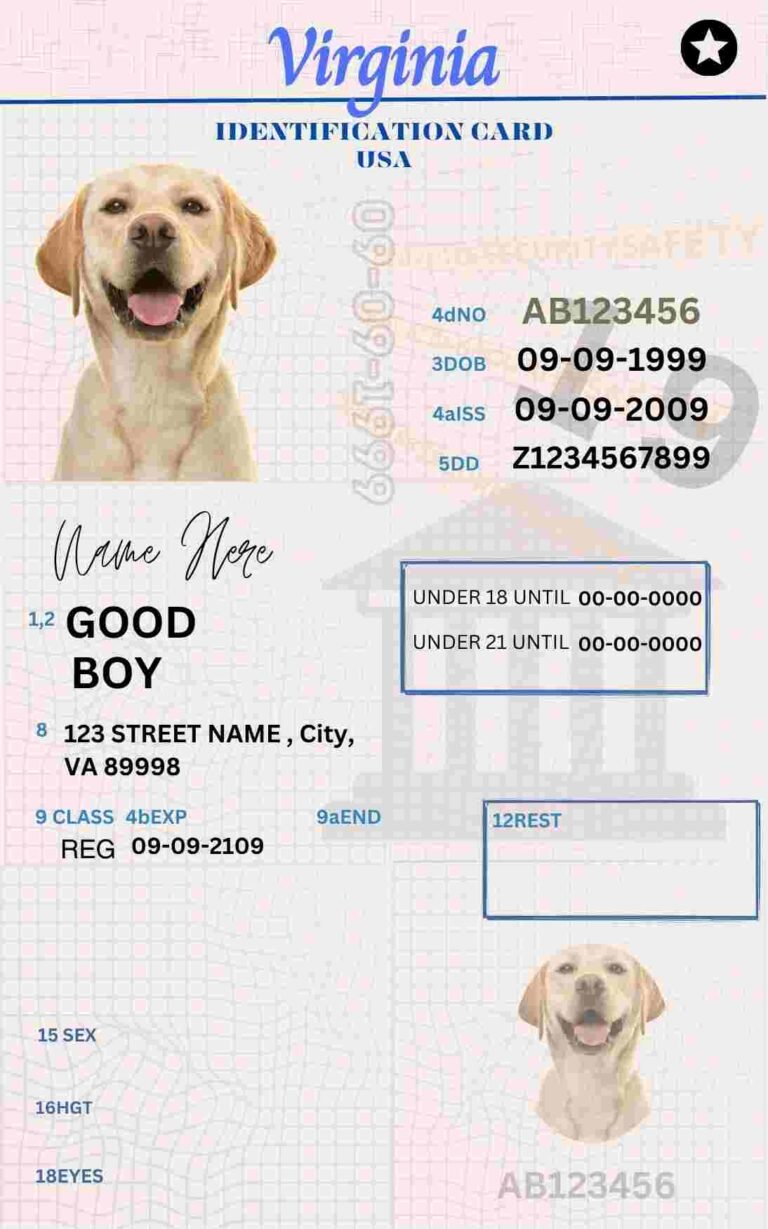 Free Download Virginia ID Card Virginia Name Tag Fully Editable Digital Printable Template