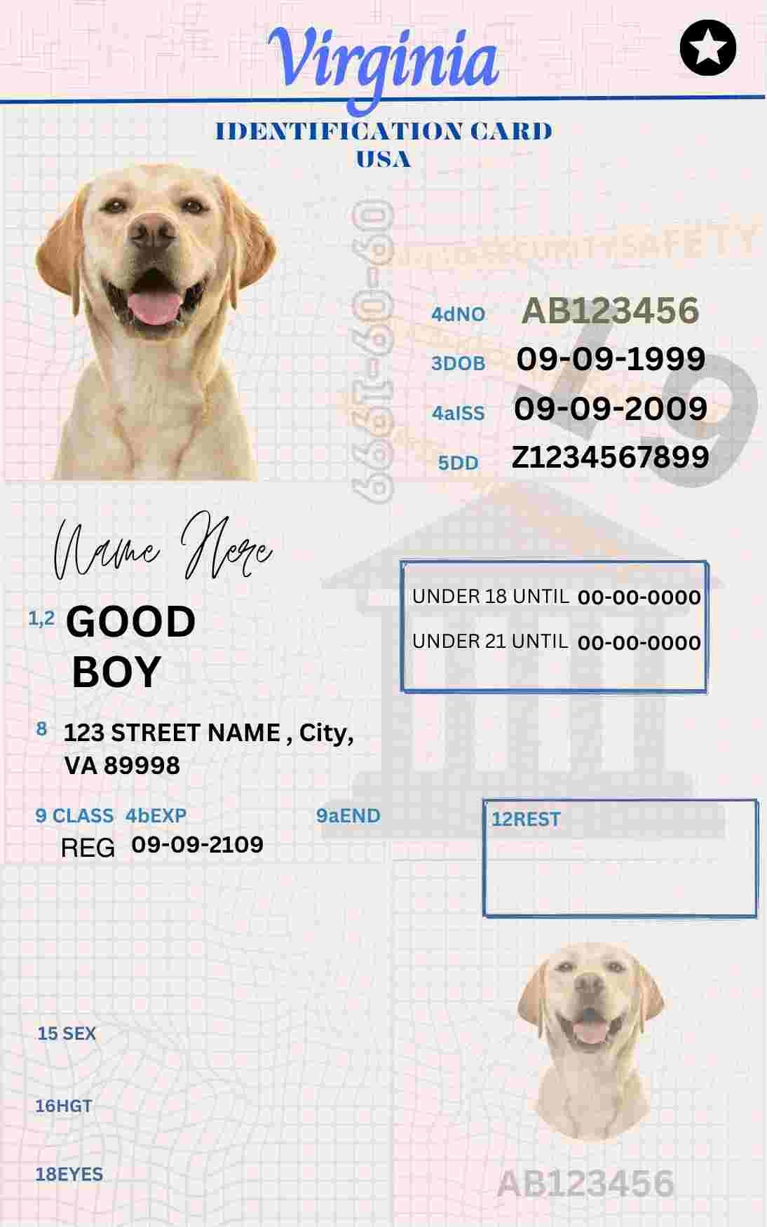 Free Download Virginia ID Card Virginia Name Tag Fully Editable Digital Printable Template