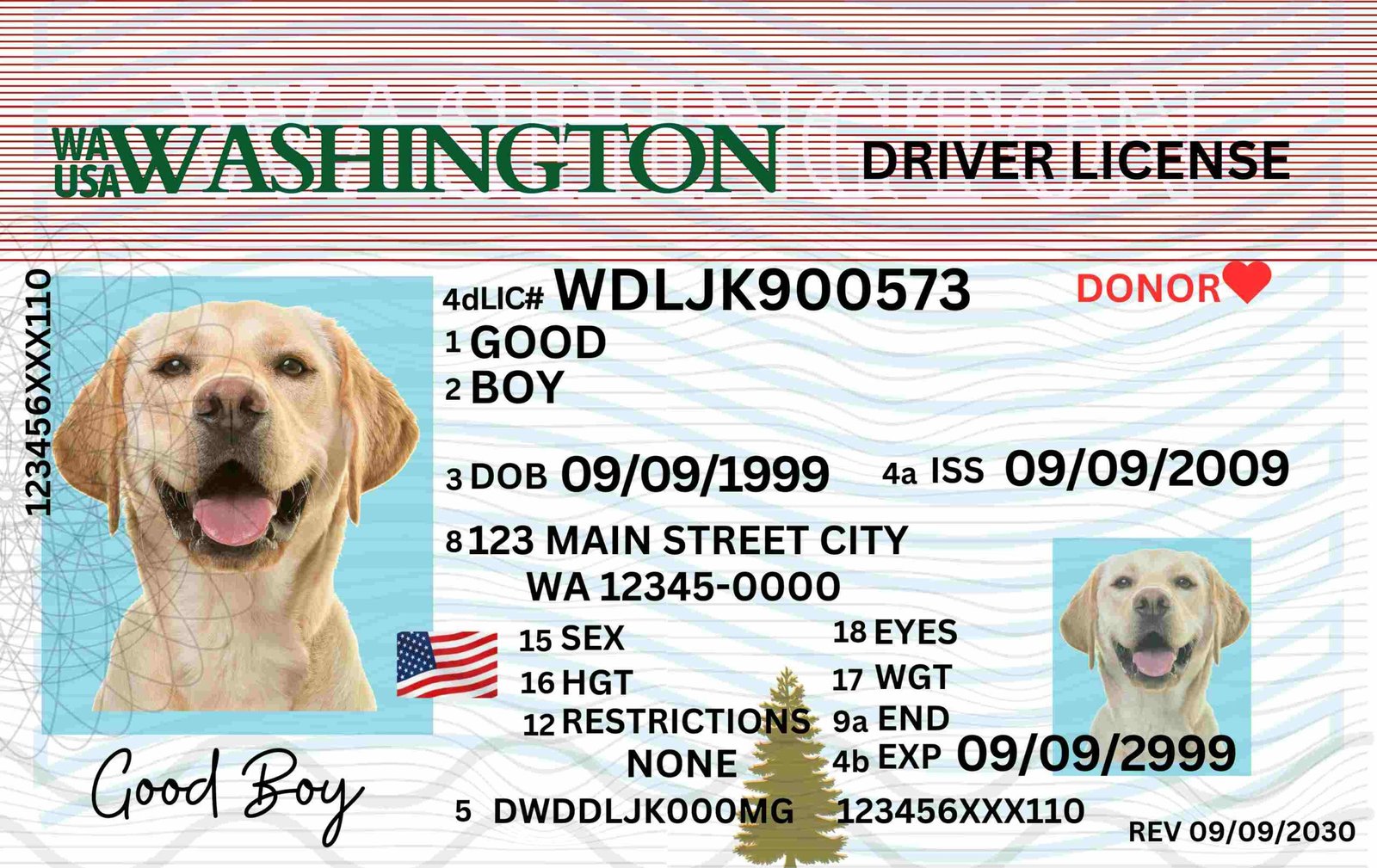Free Download Washington Driver License Pet Driving License Fully Canva Editable Digital Printable Template Funny License Replica