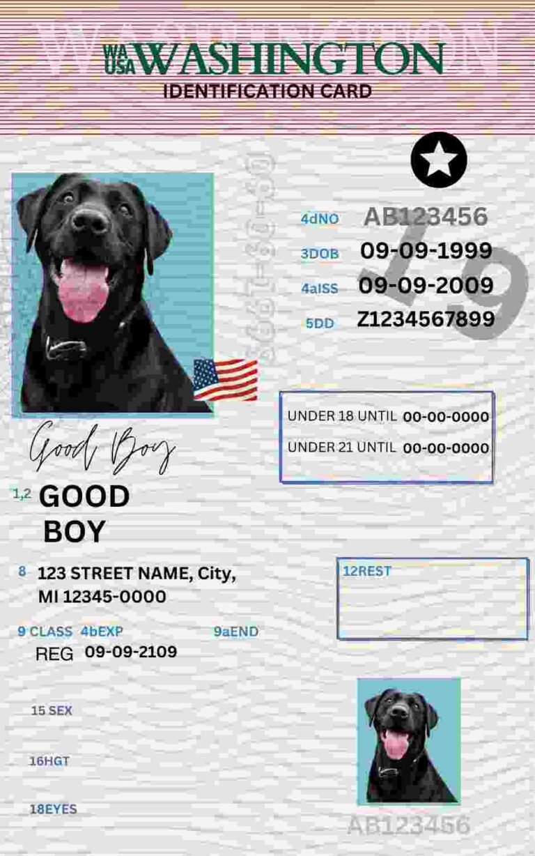 Free Download Washington ID Card Washington Name Tag Fully Editable Digital Printable Template