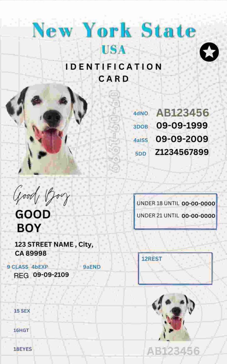 Free Download New York ID Card New York Name Tag Fully Editable Digital Printable Template