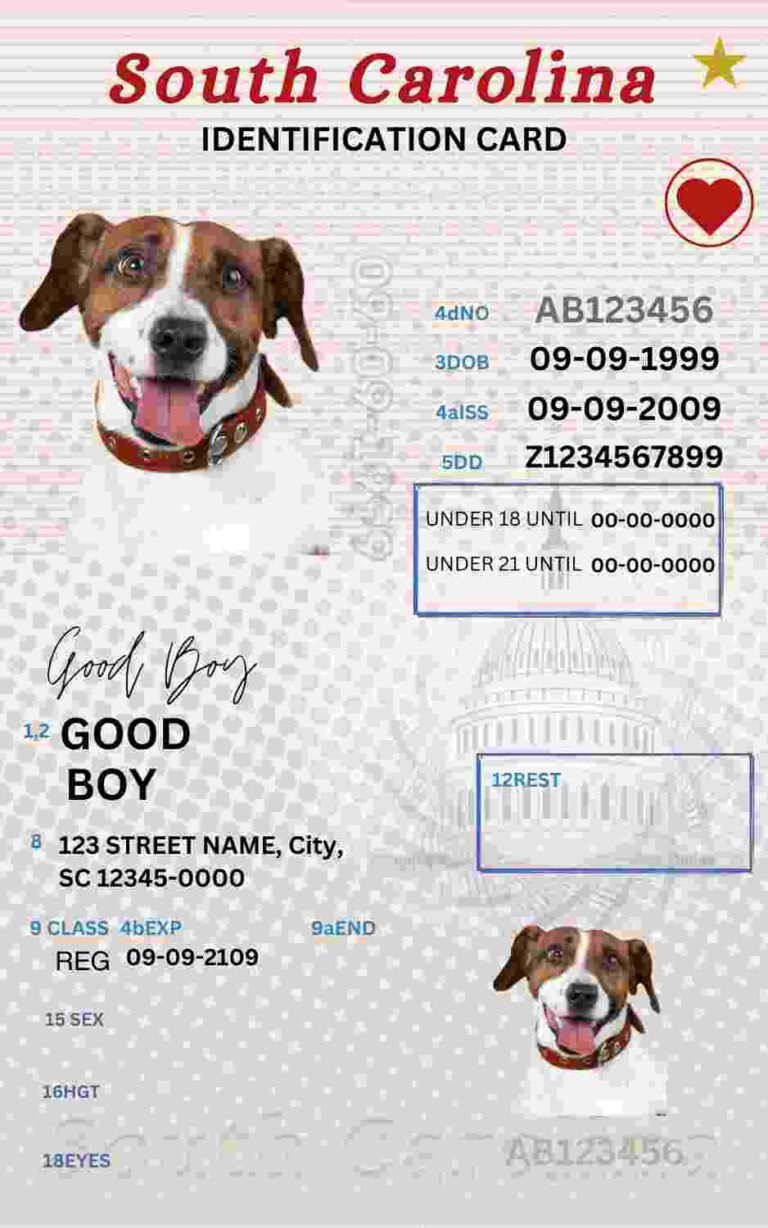 Free Download South Carolina ID Card South Carolina Name Tag Fully Editable Digital Printable Template