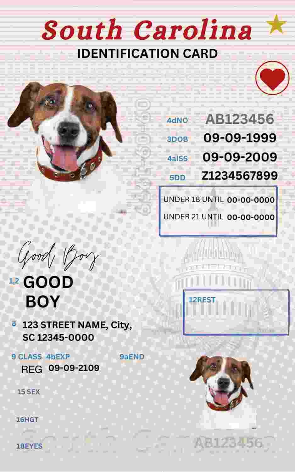 Free Download South Carolina ID Card South Carolina Name Tag Fully Editable Digital Printable Template